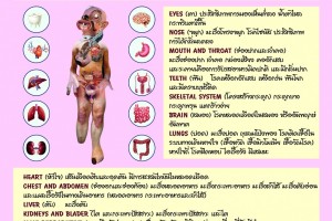 รูปภาพ : รู้เท่าทันพิษภัยจากบุหรี่