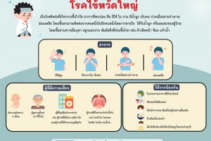 รูปภาพ : ประชาสัมพันธ์ มาตรการเฝ้าระวังและผลกระทบต่อสุขภาพจากโรคไข้หวัดใหญ่
